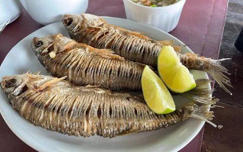 SARDINHA ASSADA
