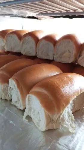 PÃO CACHORRO QUENTE