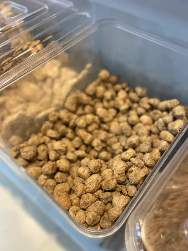 Proteína de Soja Bolinha & Graúda